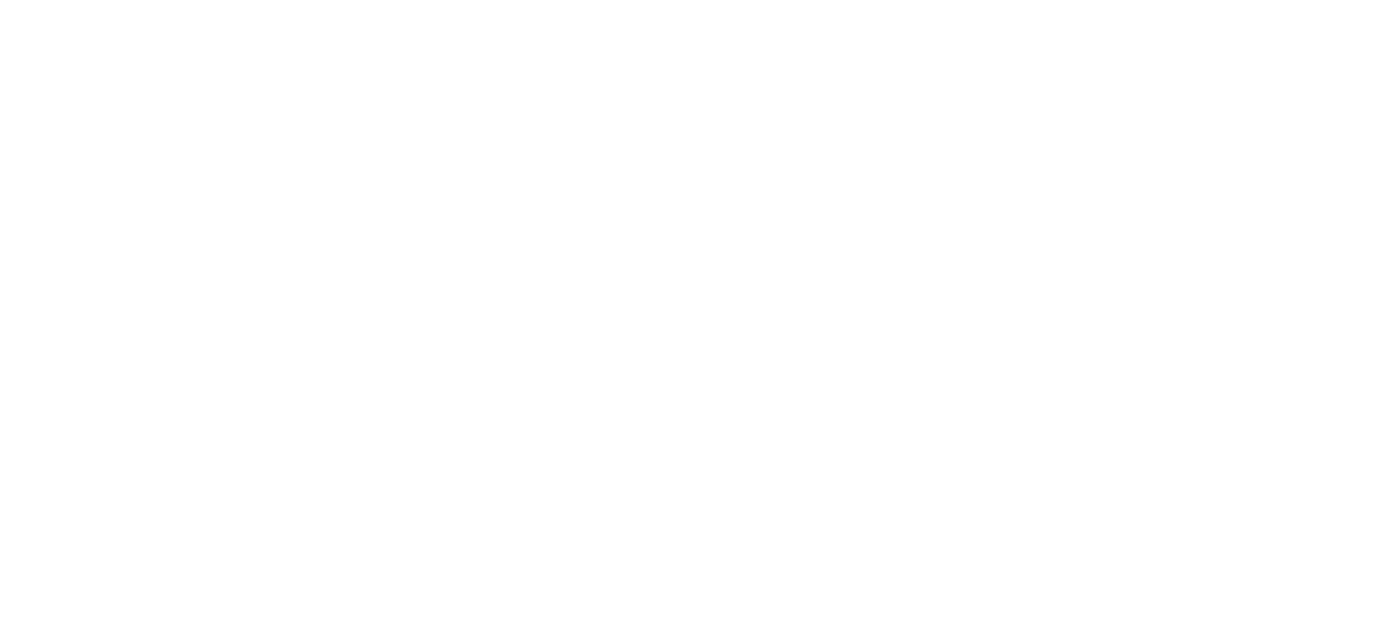 rismor-logo-white